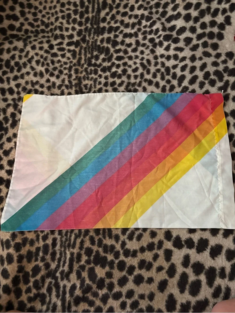 Vintage rainbow pillowcases